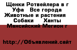 Щенки Ротвейлера в г.Уфа - Все города Животные и растения » Собаки   . Ханты-Мансийский,Мегион г.